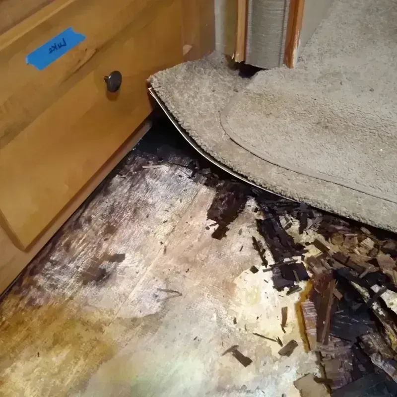 Wood Floor Water Damage in Durant, OK